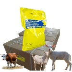 Animal Vitamin Supplement Factory - Pig Goat Sheep Feeding Custom