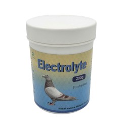 Pigeon Electrolyte Supplement Manufacturer - Racing Homing Bird Drink
