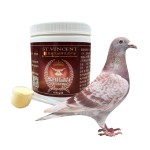 Pigeon Oxygen Supplement Manufacturer - Match Set Liquid Support