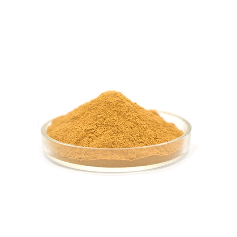 Top Quality Pelargonium Sidoides Extract Powder 10:1 20:1 in Stock