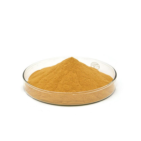 Factory Price Henna Leaves Extract Powder 20:1 Tint Henna Extract
