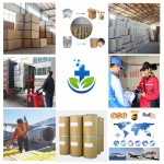 Best Price Food Grade CAS 499-40-1 Isomalto-oligosaccharide Imo Powder