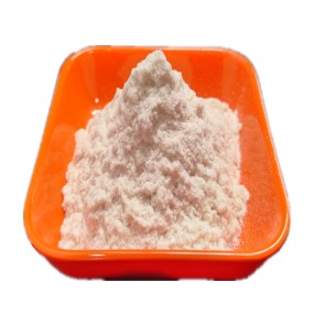 High Quality Lactobacillus Salivarius Organic Probiotics Lactobacillus Salivarius Powder
