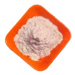 High Quality Lactobacillus Salivarius Organic Probiotics Lactobacillus Salivarius Powder