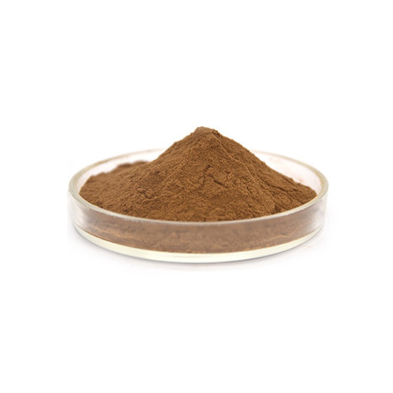 High Quality Herbal Organic Jerusalem 5% Cynarin Artichoke Leaf Extract Powder