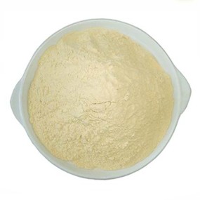 Scutellaria Baicalensis Root Extract Powder Best Price Pure 98% Baicalin
