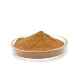 Top Quality Instant Green Tea Extract Powder Egcg Catechin 99% Pure Catechin Powder