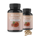 Reishi Capsules Factory - OEM Mushroom Extract Supplement