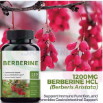 Berberine Tablets Supplier - OEM 500mg 1000mg Hcl Supplement