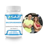 Nootropic Capsules Supplier - OEM Alpha GPC L Theanine Blend