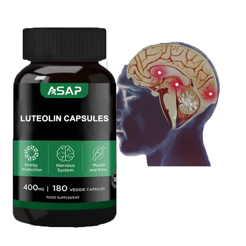Luteolin Capsules Manufacturer - OEM 1000mg Herbal Extract Capsule