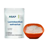 Lactobacillus Powder Factory - OEM Reuteri Freeze Dried Probiotic