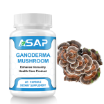 Reishi Capsules Manufacturer - OEM Lingzhi Mushroom Extract Supplement