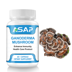 Reishi Capsules Manufacturer - OEM Lingzhi Mushroom Extract Supplement