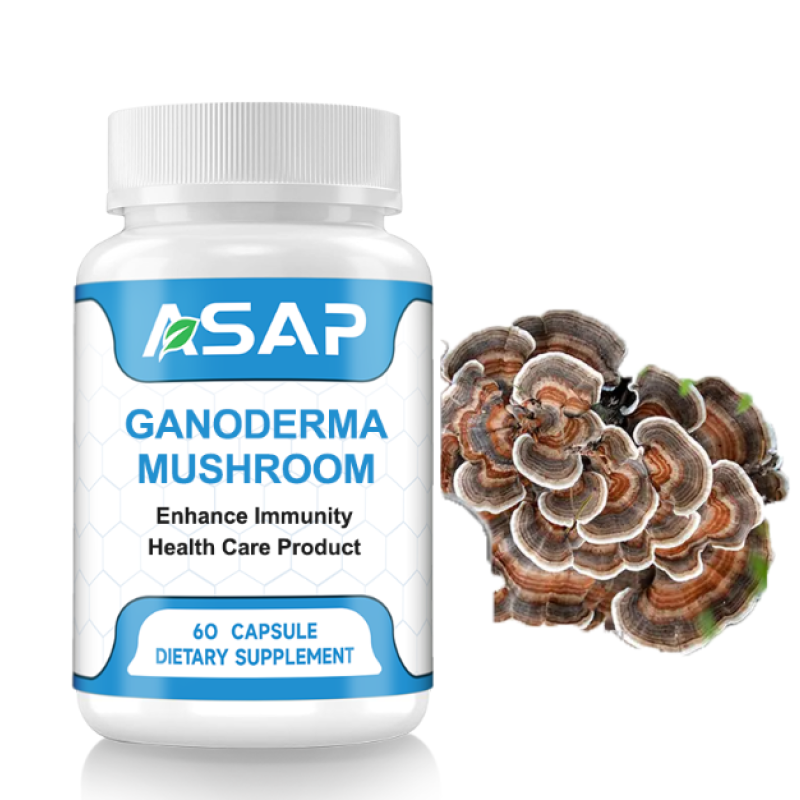 Reishi Capsules Manufacturer - OEM Lingzhi Mushroom Extract Supplement