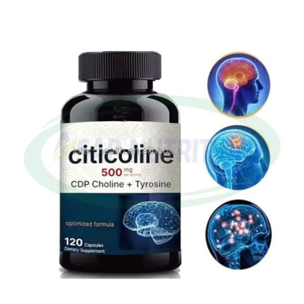 Citicoline Capsules Manufacturer - OEM Brain Health 500mg 1000mg