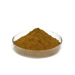 Beetroot Powder Factory - OEM Raw Red Juice Extract Powder