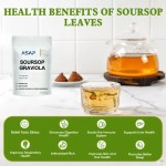 Spearmint Tea Bags Manufacturer - OEM Dried Leaf Herbal Health Tea