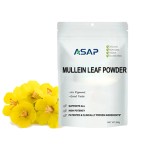 Soursop Tea Bags Factory - OEM Organic Dried Leaf 28-Day Digestion