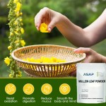 Soursop Tea Bags Factory - OEM Organic Dried Leaf 28-Day Digestion