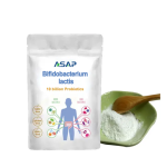 Bifidobacterium Powder Supplier - OEM Food Grade Probiotic Supplement