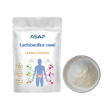 Lactobacillus Powder Supplier - OEM Rhamnosus Health Supplement Powder