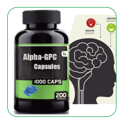 Alpha-GPC Capsules Supplier - OEM Brain Supplement L Theanine
