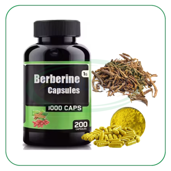 Berberine Capsules Factory - OEM Natural Plant Extract Supplement