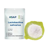 Lactobacillus Powder Factory - OEM Reuteri Freeze Dried Probiotic