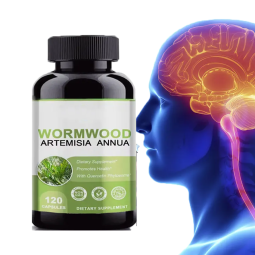 Artemisinin Capsules Factory - OEM Natural 500mg Extract Supplement