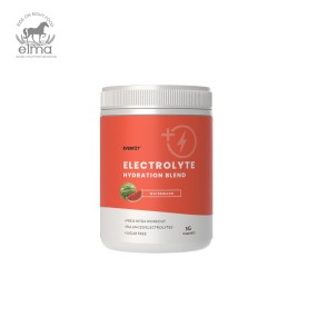 Hydration Powder Supplier - Electrolyte Vitamin Blend Children