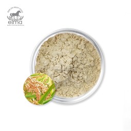 Rice Protein Powder Manufacturer - Organic Grain Nutritious Healthy