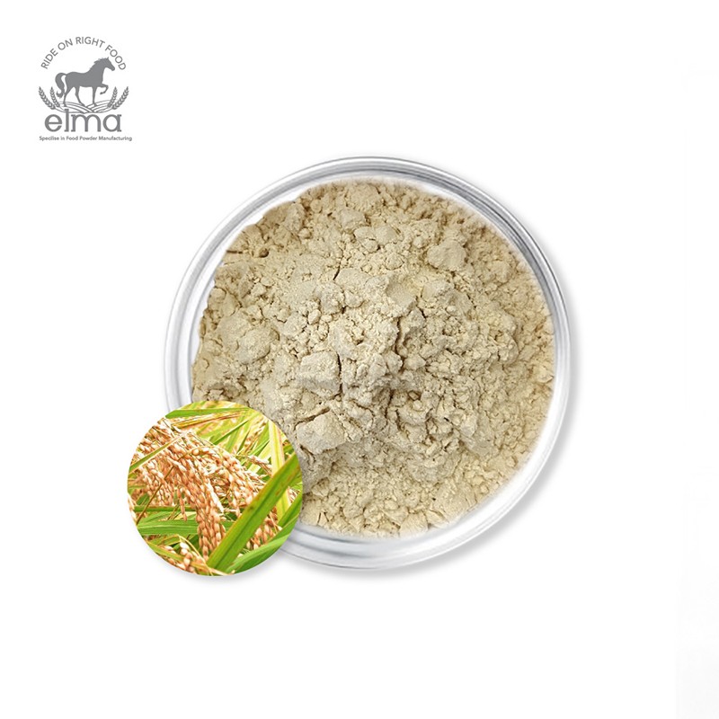 Rice Protein Powder Manufacturer - Organic Grain Nutritious Healthy