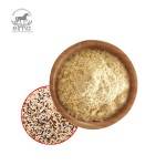 Coconut MCT Powder Manufacturer - Vegetarian Energy Source Meal