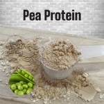 Soy Protein Powder Factory - Isolated Bean Supplement Fullness
