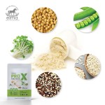 Whey Protein Powder Factory - Pouch Private Label Proteins