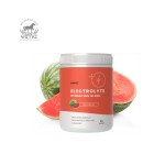 Electrolyte Mix Manufacturer - Watermelon Workout Recovery Custom