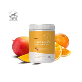 Electrolyte Powder Factory - Zero Sugar Pre Workout Mango Orange