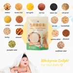 Brown Rice Cereal Powder Manufacturer - Extruded Instant Grain