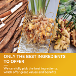 Detox Tea Manufacturer - OEM Turmeric Ginger Cinnamon Fat Burn