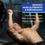 High Carb Protein Powder Supplier - OEM Weight Gain Nutrition Support