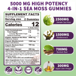 Sea Moss Gummies Factory - OEM Nutritional Energy Support Gummy