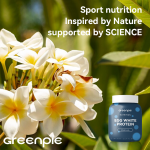 Egg White Protein Powder Manufacturer - OEM Vanilla Albumin Sports Nutrition