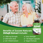 Shilajit Capsules Manufacturer - OEM Fulvic Acid Energy Supplement