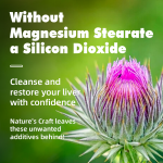 Milk Thistle Capsules Manufacturer - OEM Liver Detox Cleanse Supplement