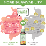 Slimming Drinks Factory - OEM Fat Reduction Shape Control Liquid