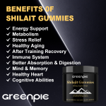 Shilajit Powder Factory - OEM Natural Energy Stamina Wellness