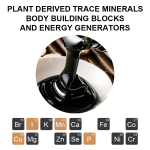 Shilajit Resin Factory - OEM Himalayan Fulvic Humic Acid Minerals