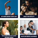 Energy Drink Supplier - OEM Oyster Maca Boost Man Power