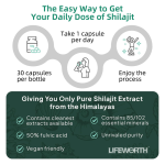 Shilajit Capsules Factory - OEM Fulvic Acid Energy Support Capsules